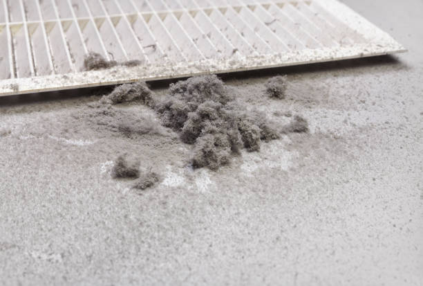 Best HVAC Air Duct Cleaning  in Silver Bay, MN
