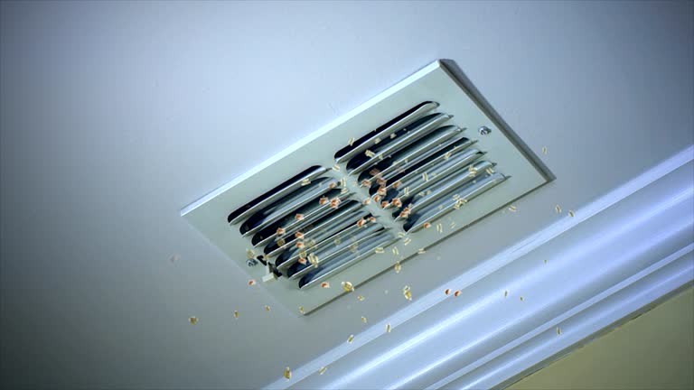 Best Affordable HVAC Duct Cleaning  in Silver Bay, MN